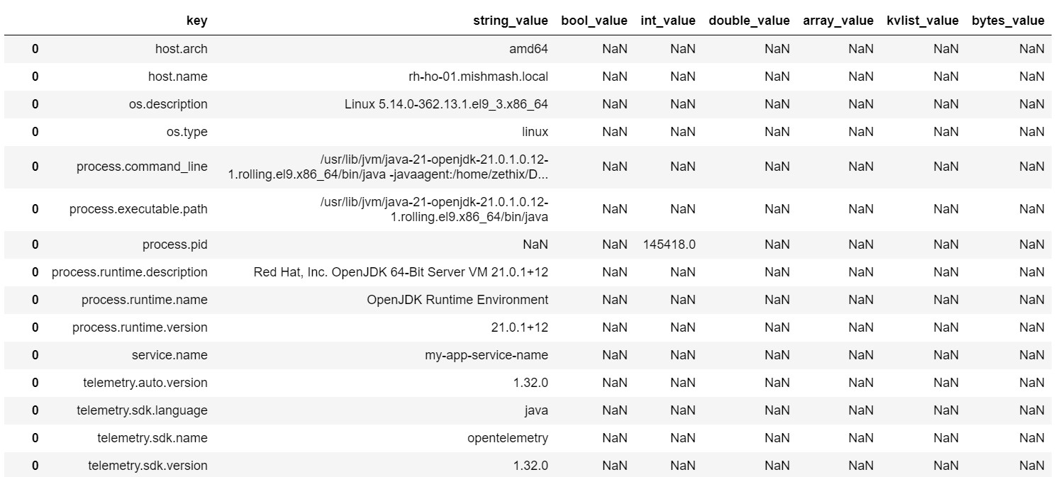 Resource attribute keys and values